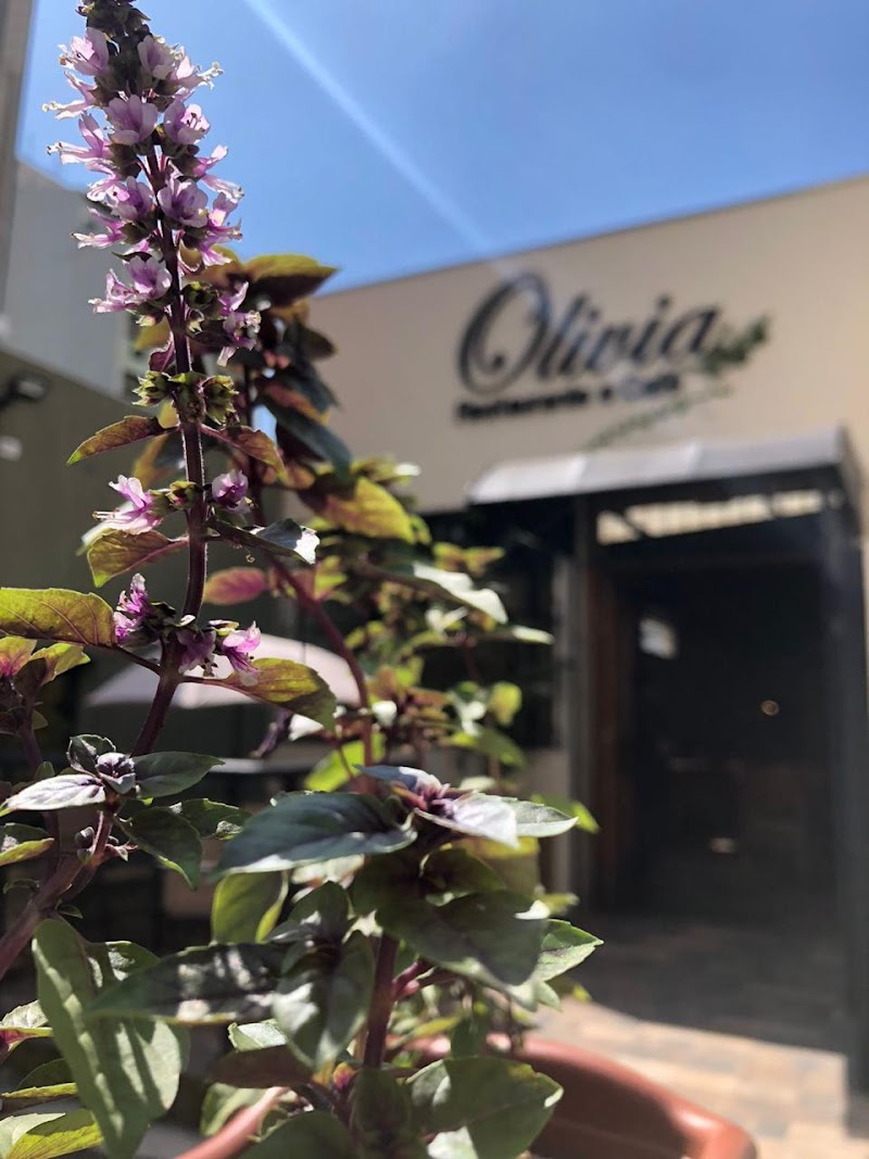 Olivia Culinária Mediterrânea | Restaurante por quilo em Taubaté
